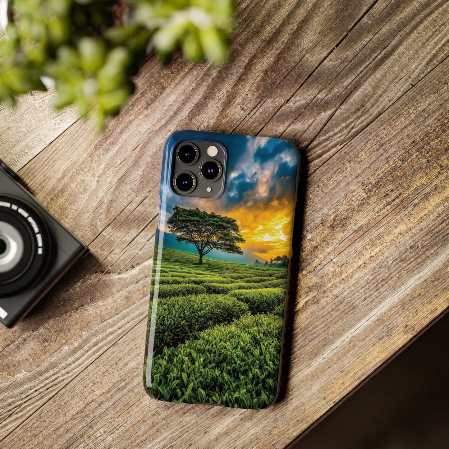 Sunset Tea Field Slim Phone Case — Scenic Tree Landscape Phone Cover
