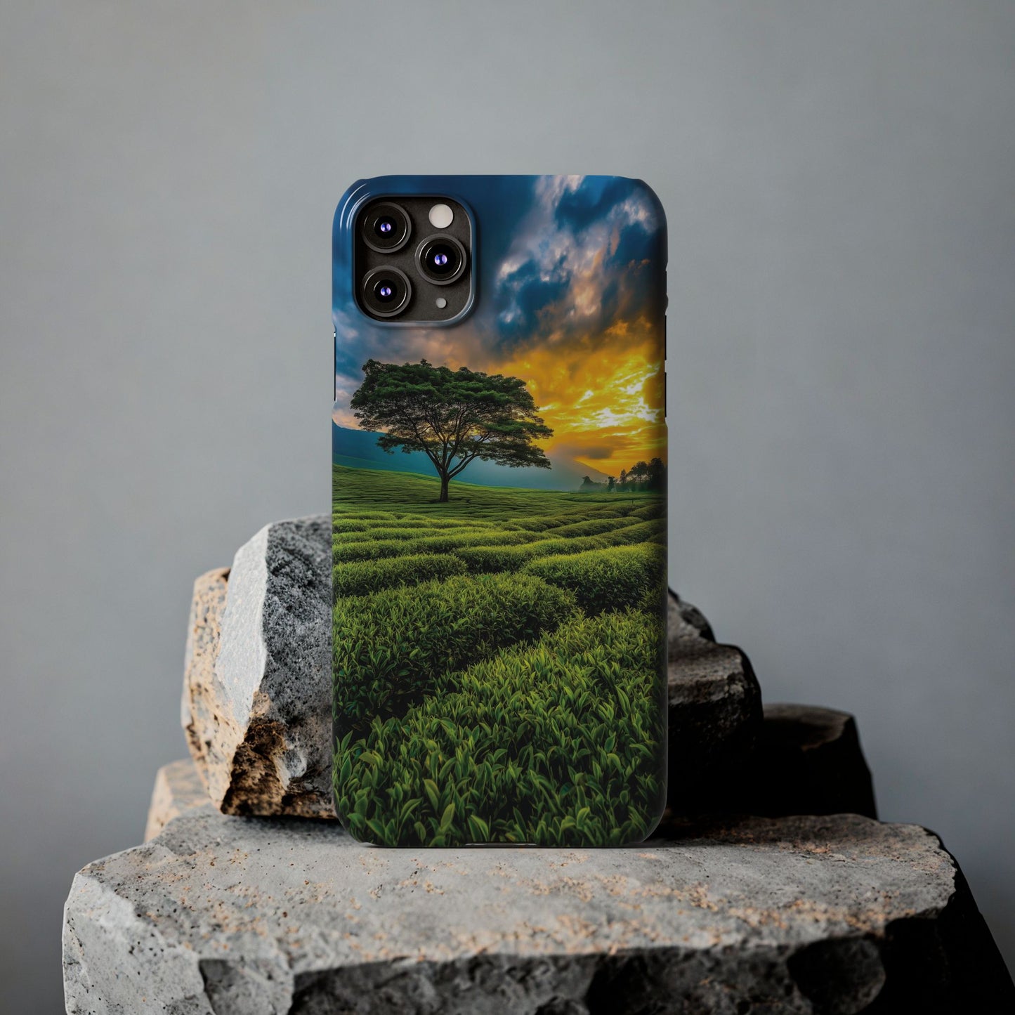 Sunset Tea Field Slim Phone Case — Scenic Tree Landscape Phone Cover