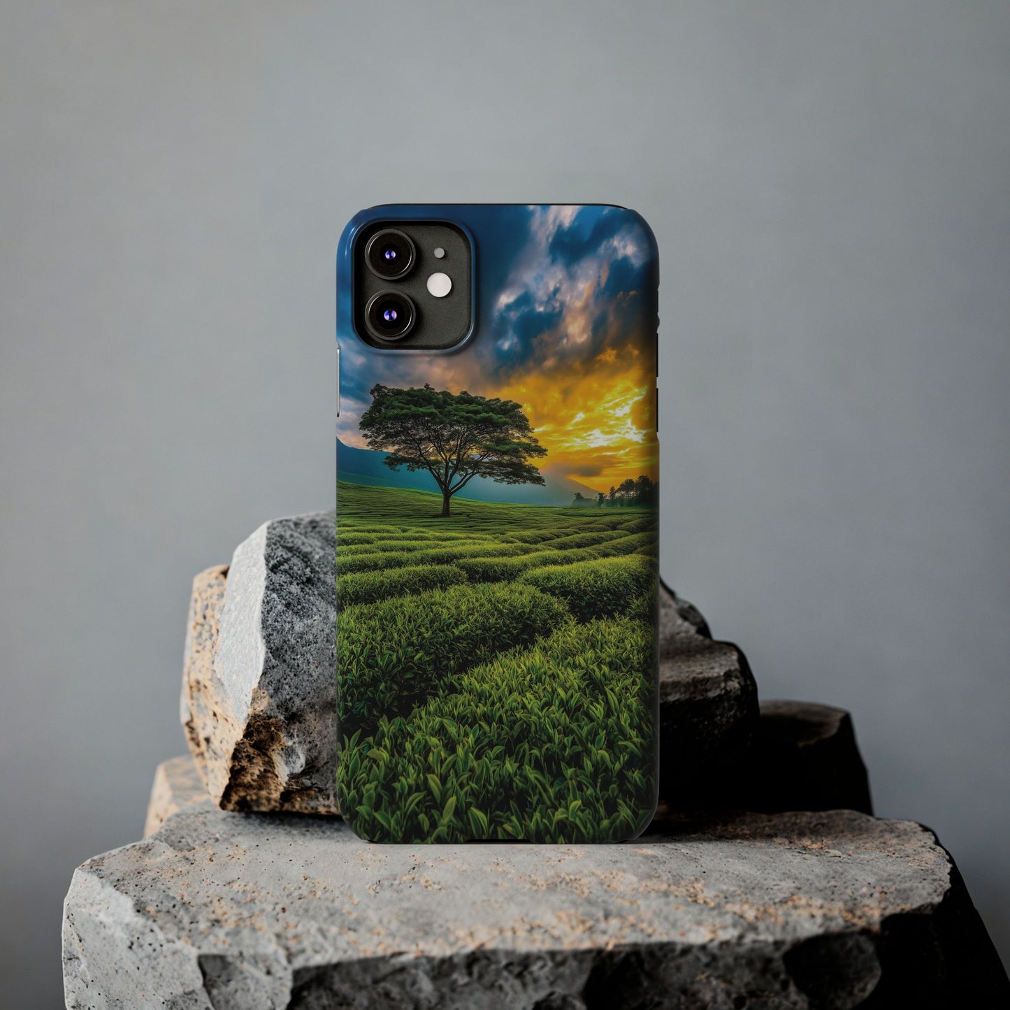 Sunset Tea Field Slim Phone Case — Scenic Tree Landscape Phone Cover