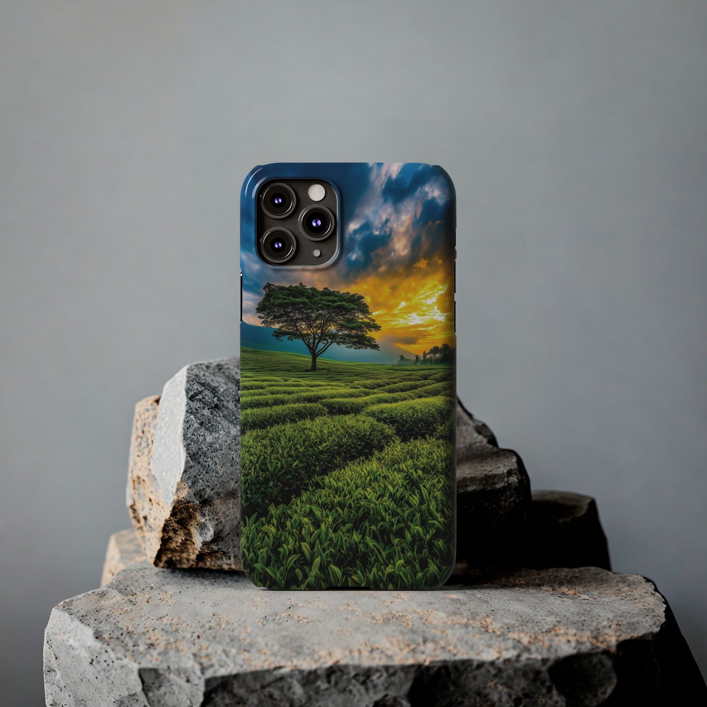 Sunset Tea Field Slim Phone Case — Scenic Tree Landscape Phone Cover
